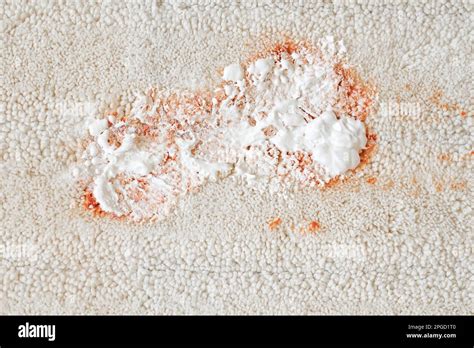 Cleaning a white carpet indoors. closeup. daily life stain concept ...