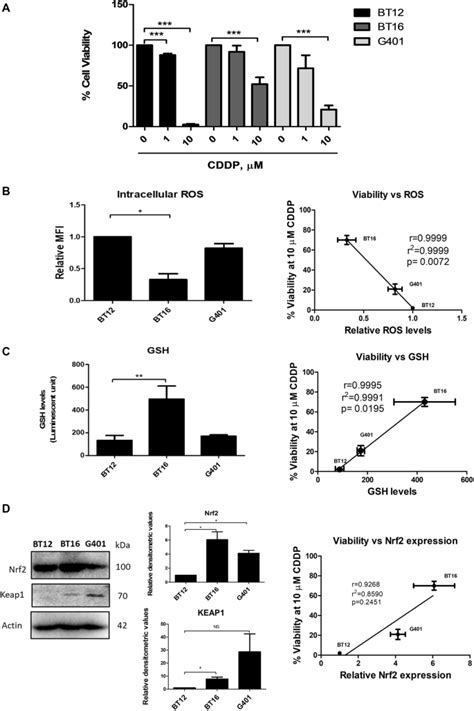 The Role Of The Nrf Gsh Antioxidant System In Cisplatin Resistance In