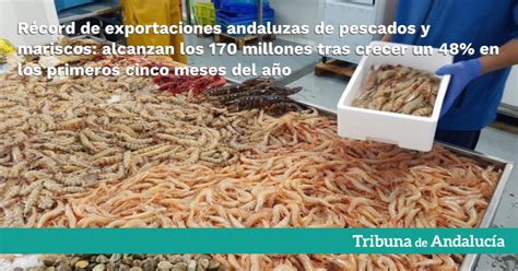 R Cord De Exportaciones Andaluzas De Pescados Y Mariscos Alcanzan Los