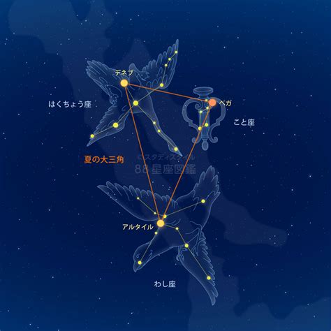 夏の大三角と星座｜やさしい88星座図鑑