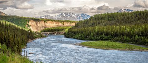 Denali Princess Wilderness Lodge | AlaskaTravel.com