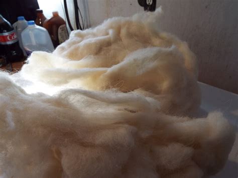 Navajo-churro Sheep Wool Roving White 6 Ounces - Etsy