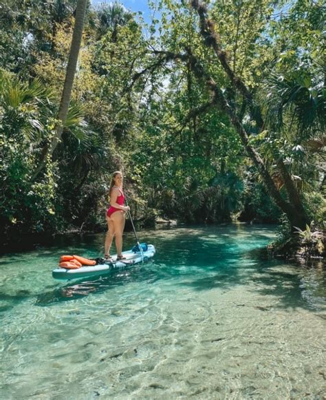 A Perfect Day at Silver Glen Springs Florida (+Swim with Manatees ...