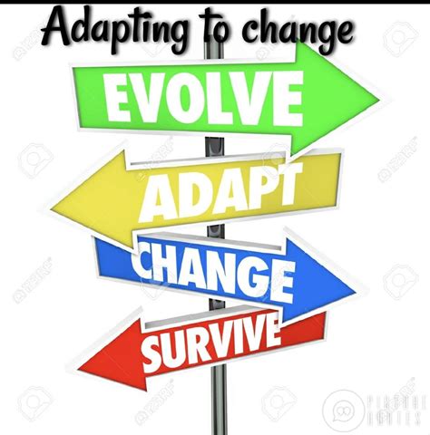 Adapting To Change The World Is Going Crazy Everything We By