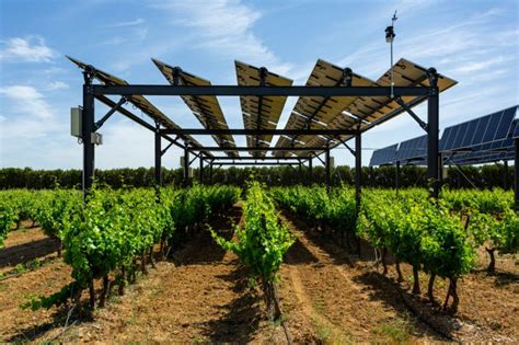 Agrivoltaico Parte Dai Territori La Sfida Dellenergia Sostenibile