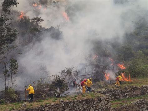 Cusco Brigadas Combaten Incendio Forestal En El Santuario Histórico De Machu Picchu Noticias