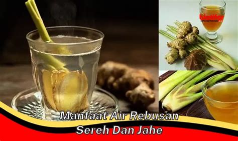 Temukan Khasiat Air Rebusan Sereh Dan Jahe Yang Jarang Diketahui Biotifor