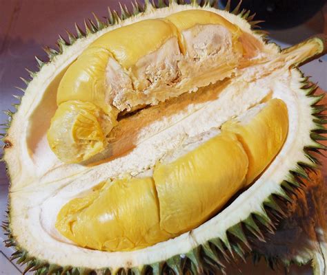 Best Restaurant To Eat Malaysian Food Travel Blog Durian King Ttdi