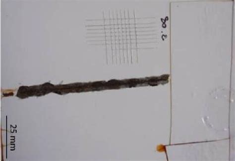 View of sample after corrosion resistance test | Download Scientific ...