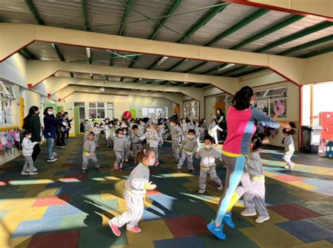 Día de la actividad física Colegio Altomonte