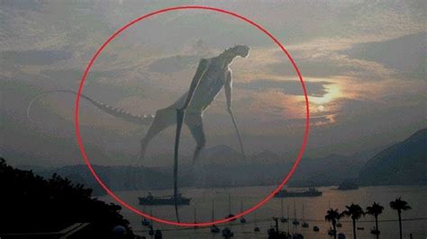 Mysterious Giant Creatures Caught On Tape Youtube