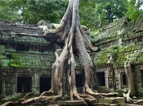 Ruins Of Preah Vihear Temple Cambodia Khmer Empire 11th 12th Century