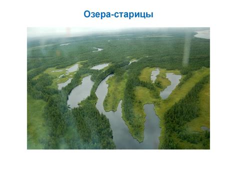 Рельеф и рельефообразующие процессы. (Тема 4) - презентация онлайн