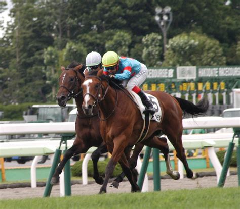 【函館5r・2歳新馬】池添騎乗のアランデルがハープスターの全弟アークライトに競り勝ち Umatoku 馬トク