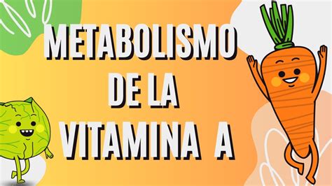 Vitamina A Fuentes dietéticas Metabolismo Deficiencia y Toxicidad