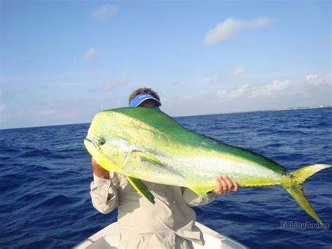 Best Times & Seasons to Fish Cozumel (Complete Guide) - Freshwater ...