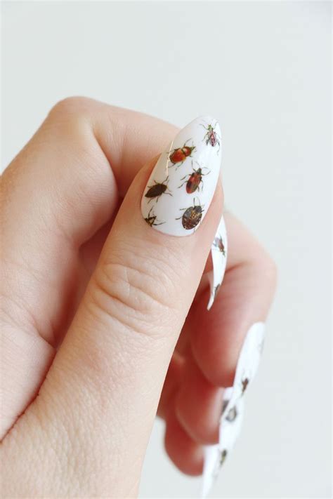 Beetle Waterslide Nail Decals DIY Nail Art Insect Nail Stickers Ladybug