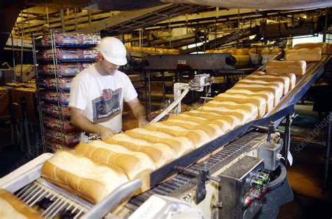 Commercial Bread Bakery Stock Image T9300374 Science Photo Library