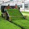 Spinach Harvester Machine Ortomec Cabbage Lettuce Herb