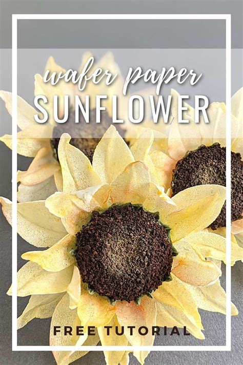 How To Make Wafer Paper Sunflower Florea Cakes Paper Sunflowers Wafer Paper Flowers Wafer