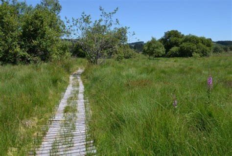 La Tourbi Re Du Longeyroux