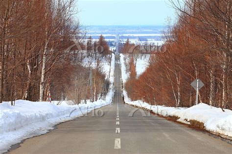 北海道斜里町 天に続く道 188037480 の写真素材 アフロ