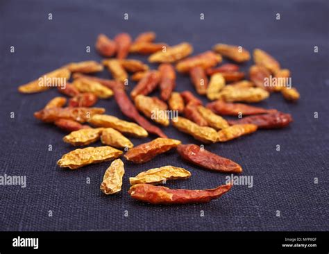Bird Pepper Hi Res Stock Photography And Images Alamy
