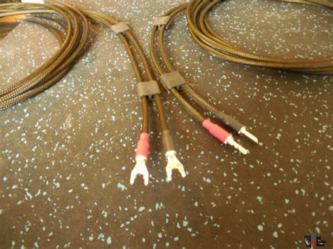 3 Meter Envy Silverteflon 8 Awg Convertible Speaker Cable System Photo 1475471 Us Audio Mart