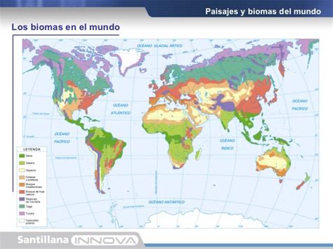 Ecología Y Desarrollo Sustentable Ecosistema