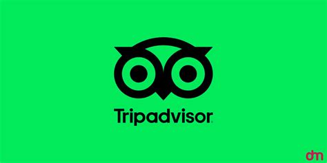 tripadvisor celebrates  year    logo
