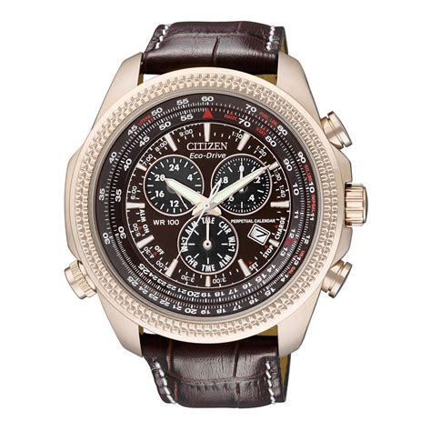 Buy Eco Drive Perpetual Calendar Chronograph Watch BL5403 03X For Men