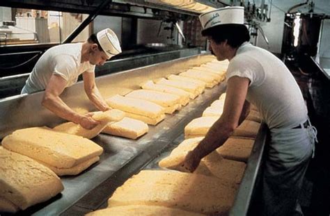 Cheese making | Description, History, Process, Steps, Curdling ...