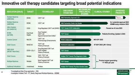 2seventy Bio Nothing Properly Explains The Low Valuation NASDAQ TSVT