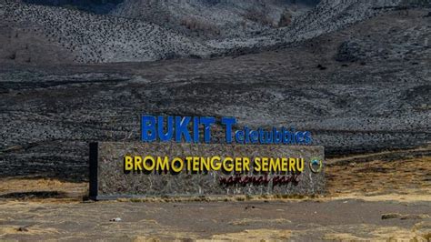 Foto Kebakaran Gunung Bromo Capai Kerugian hingga Rp89,7 Miliar ...