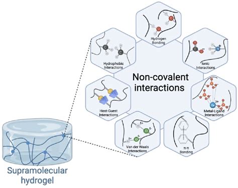 Non Covalent Interactions Used To Form Supramolecular Hydrogels