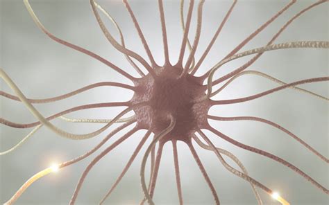 peripheral nerves dar al kamal  hospital  sharjah