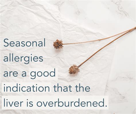 Balancing The Liver For Natural Seasonal Allergy Relief