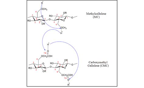 Proposed Mechanism Of H Ions Conduction Of Mccmc Blend Download