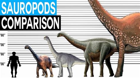 Dinosaur Size Comparison Titanosaurs 40 Off