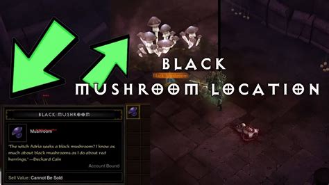 Diablo 3 Black Mushroom Location Tristram Cathedral Youtube