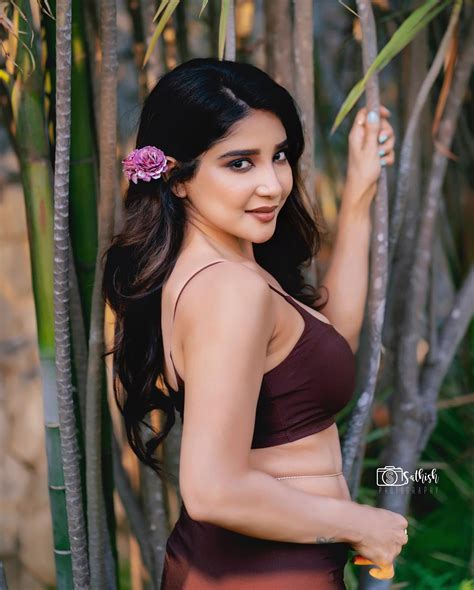 Sakshi Agarwal Hot Navel Photos South Indian Actress