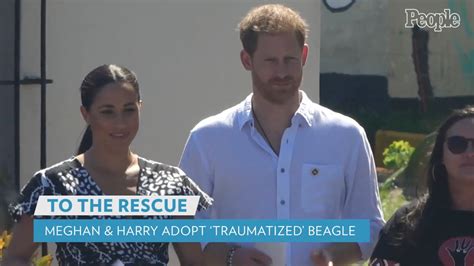 Meghan Markle And Prince Harry Adopt Traumatized Senior Former