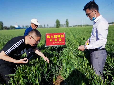 春季施肥既要减量增效，又要增产增收！土壤调理土壤改良土壤培肥高标准农田土壤板结土壤修复耕地质量提升土壤调理剂松土促根剂 河南