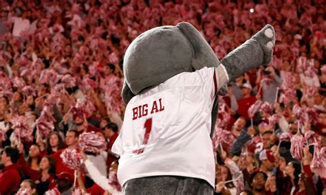 Alabama Football Recruiting: 2023 specialist receives offer from Tide