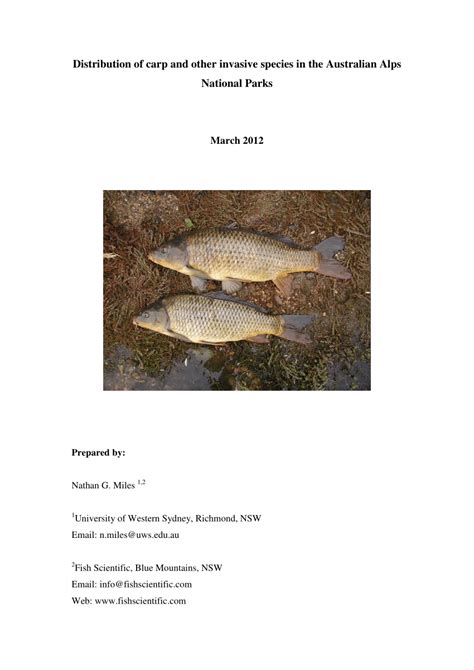 Pdf Distribution Of Carp And Other Invasive Species In The Australian