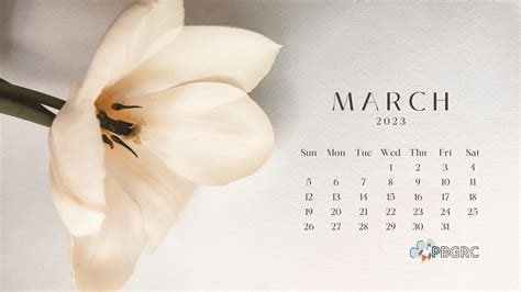 Cute March Calendar Floral Wallpaper Hd