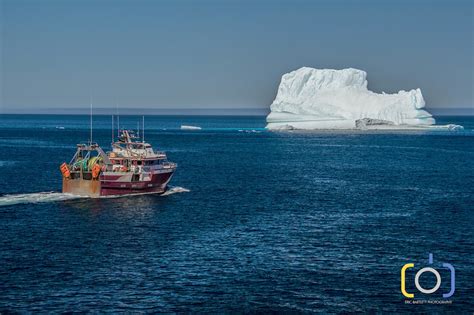 Eric Bartlett Photography Blog: Icebergs Outside St. John's Harbour