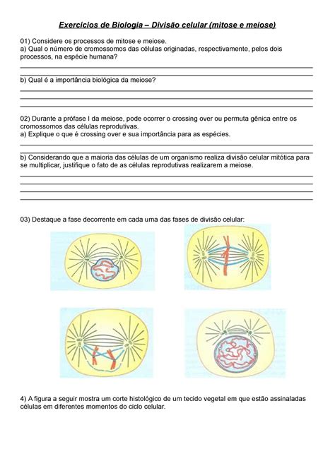 Atividade Mitose E Meiose Retoedu