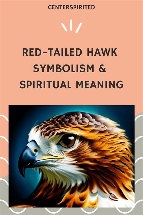 Spiritual Meanings Of Hawk Artofit