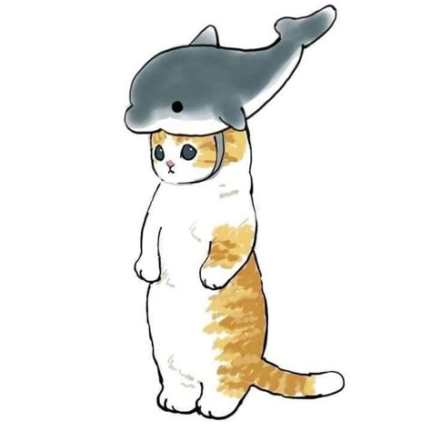 A cat-shark - cat post - Imgur Kitten Drawing, Cute Cat Drawing, Cute ...